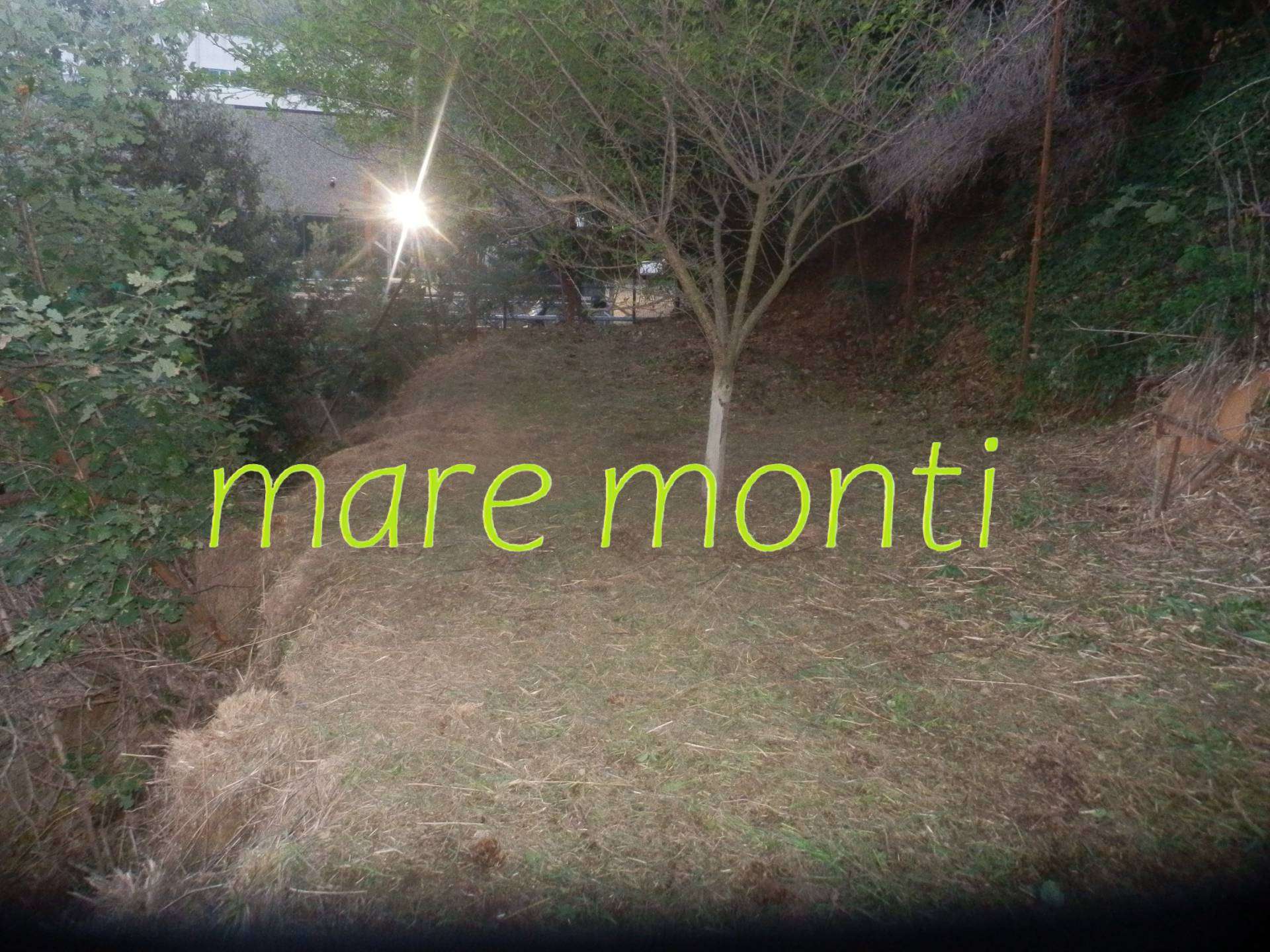  - foto 12