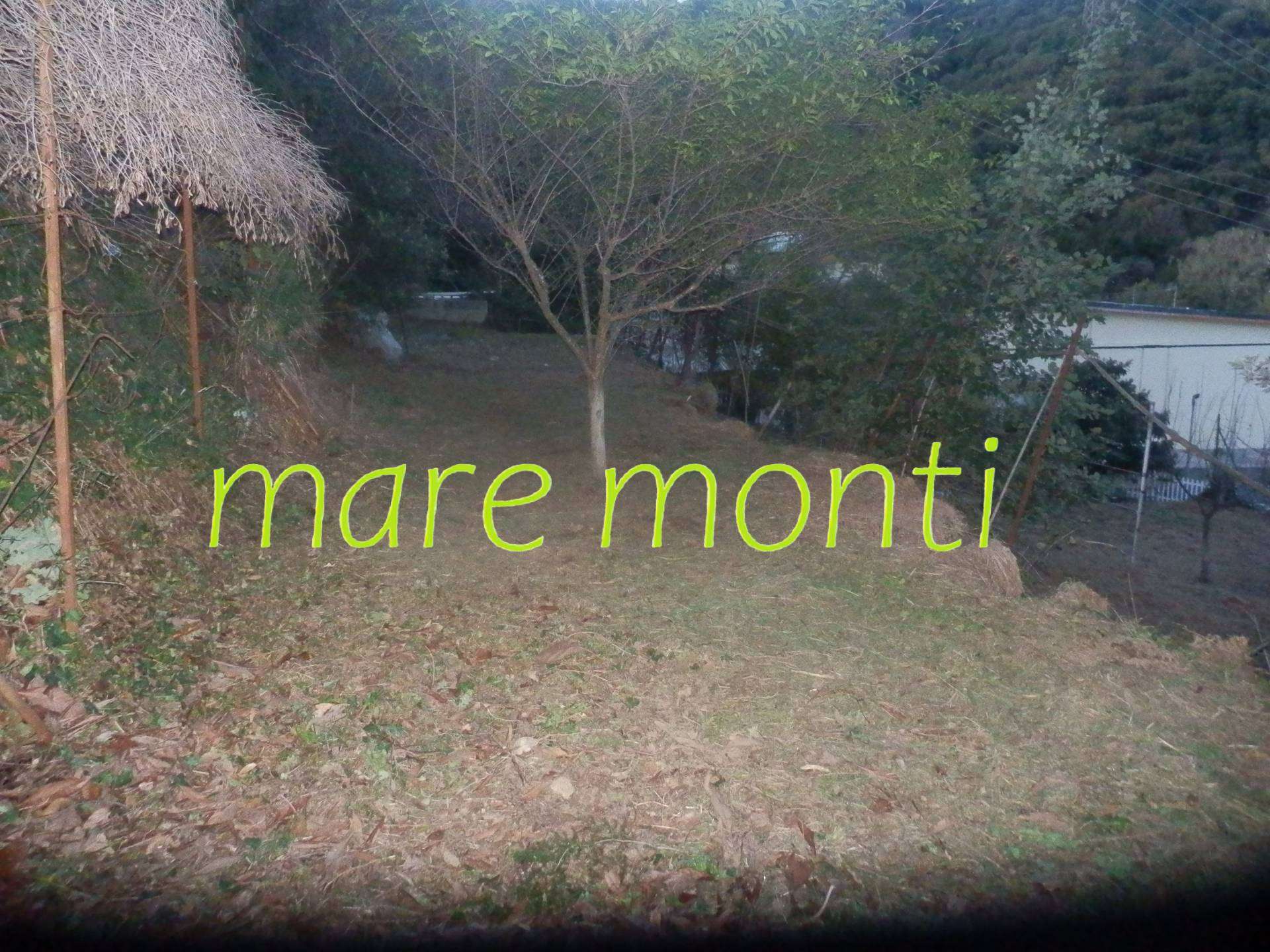 - foto 13