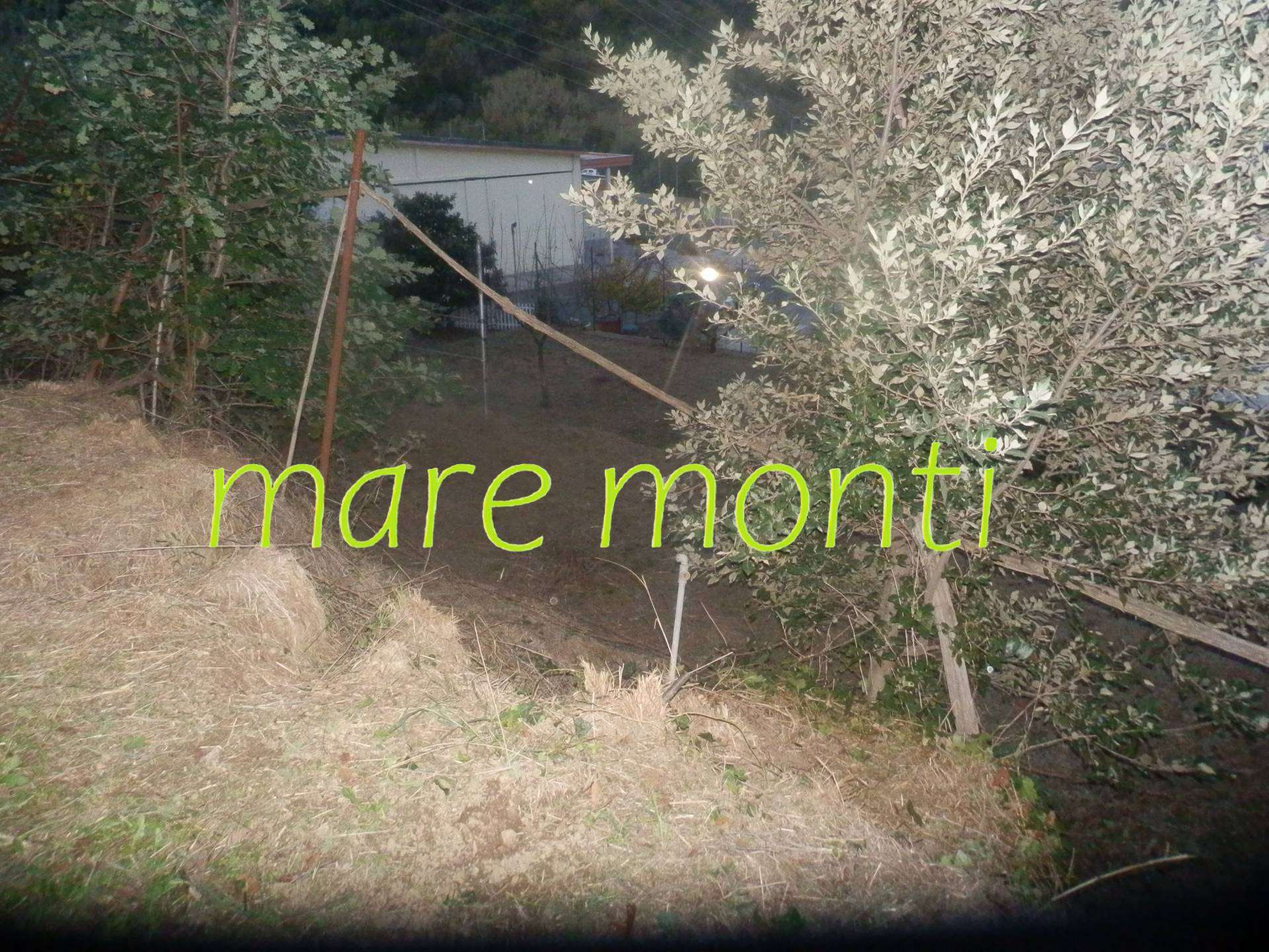  - foto 14