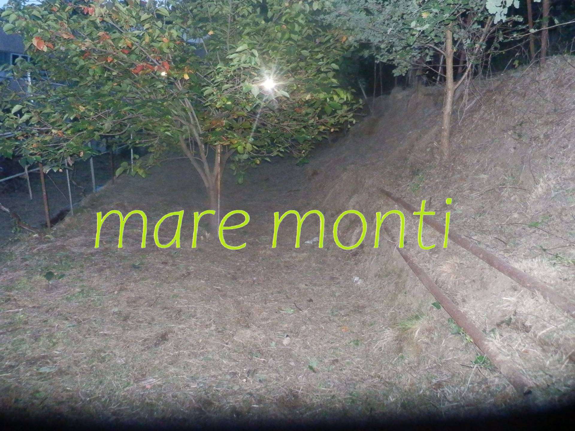  - foto 17