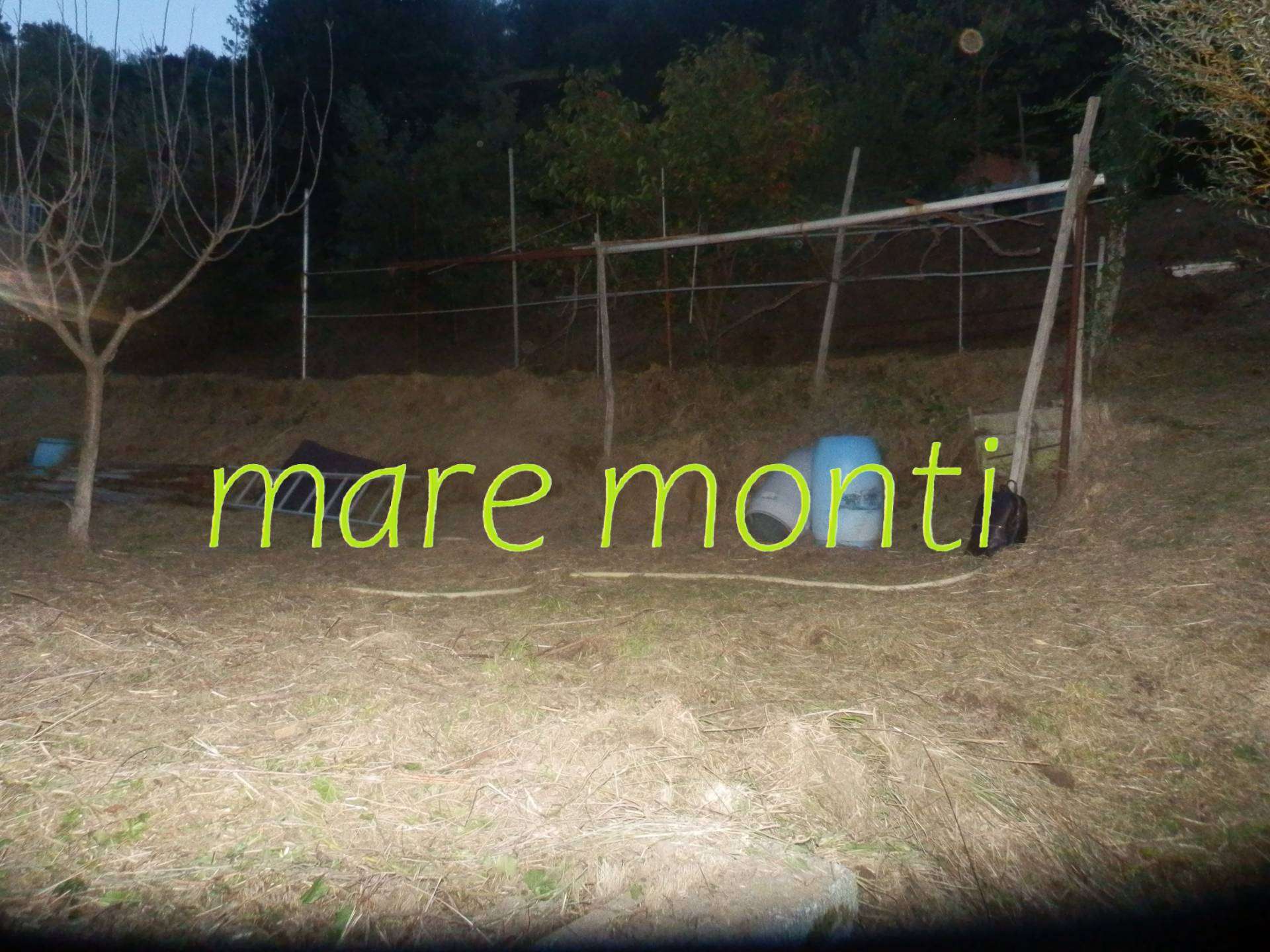 - foto 20