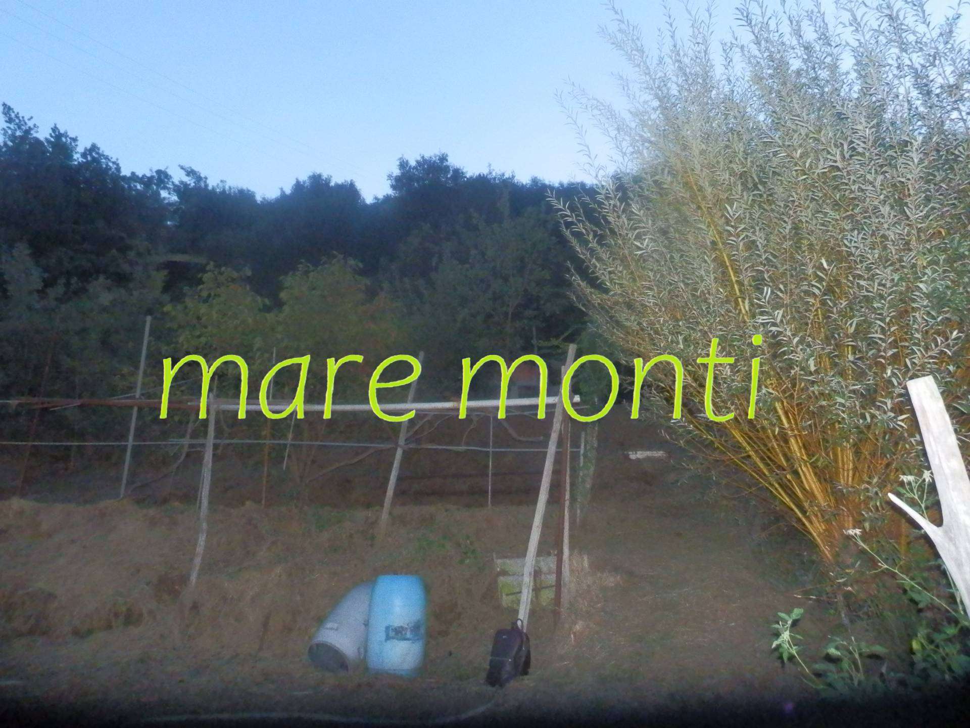  - foto 21