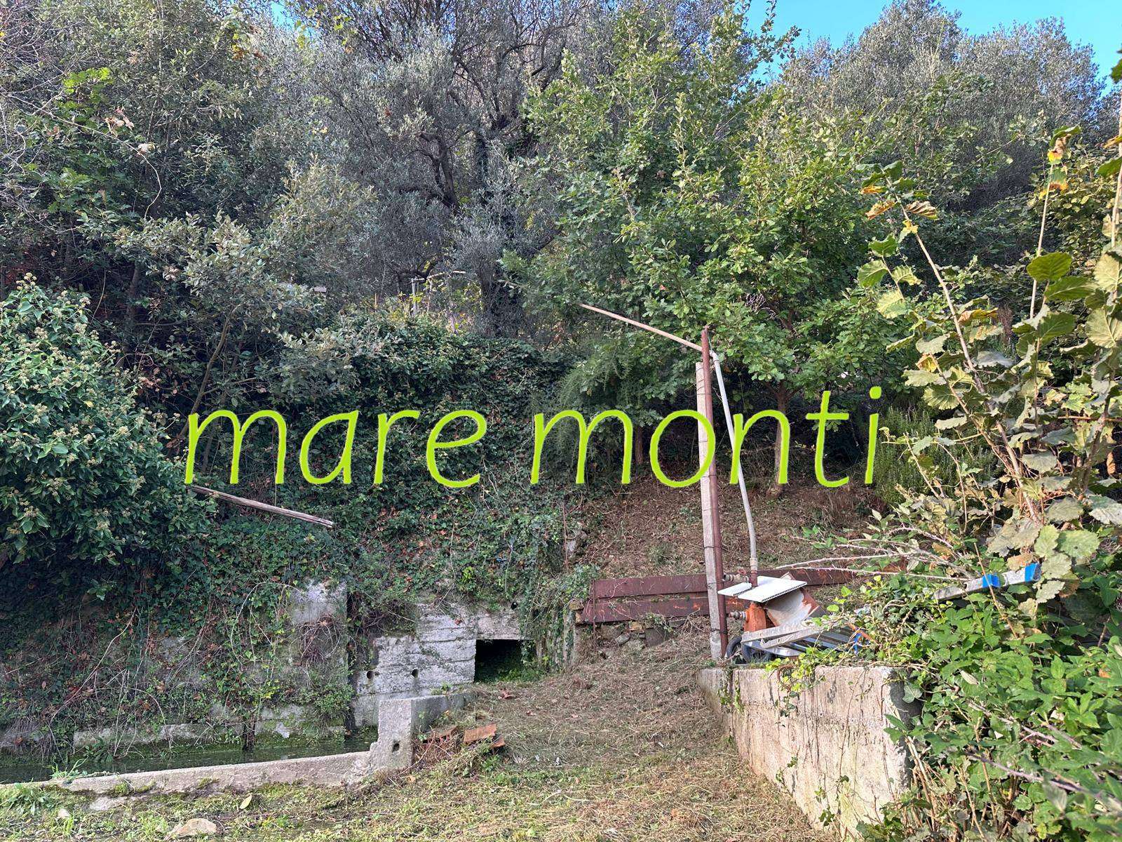  - foto 27