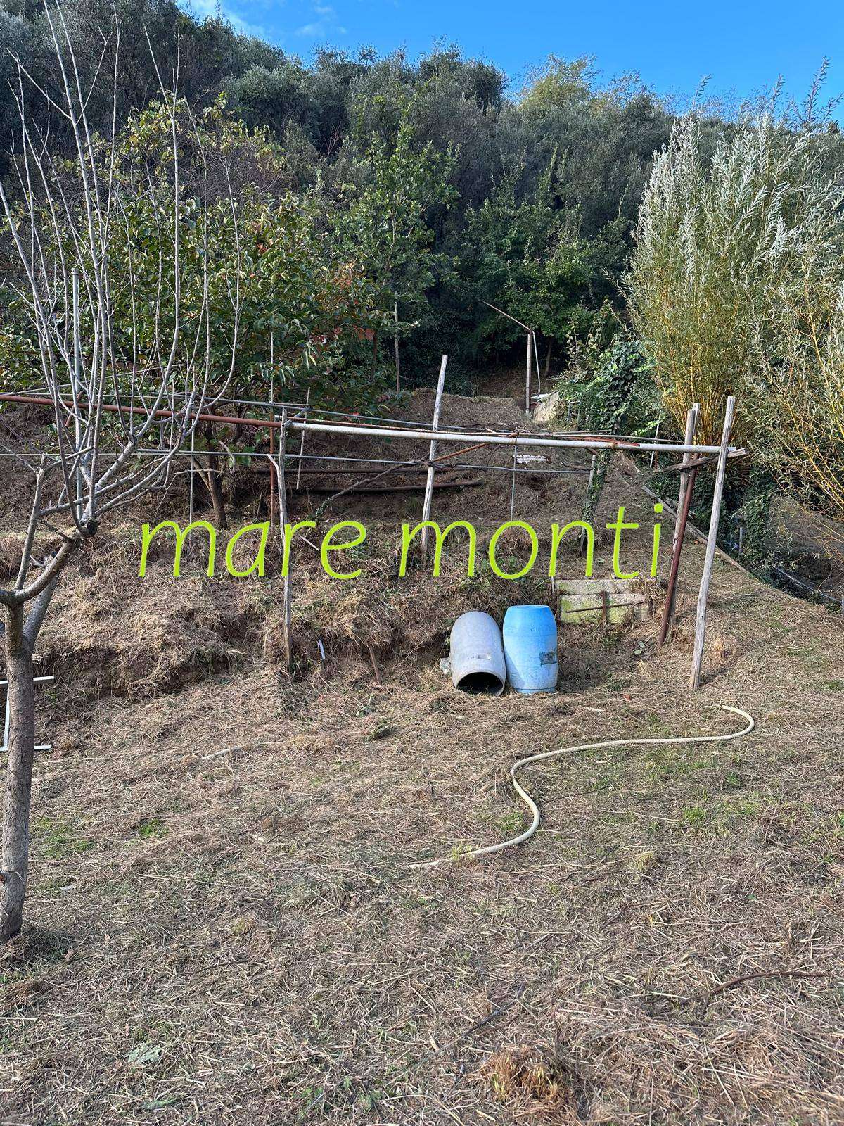  - foto 3