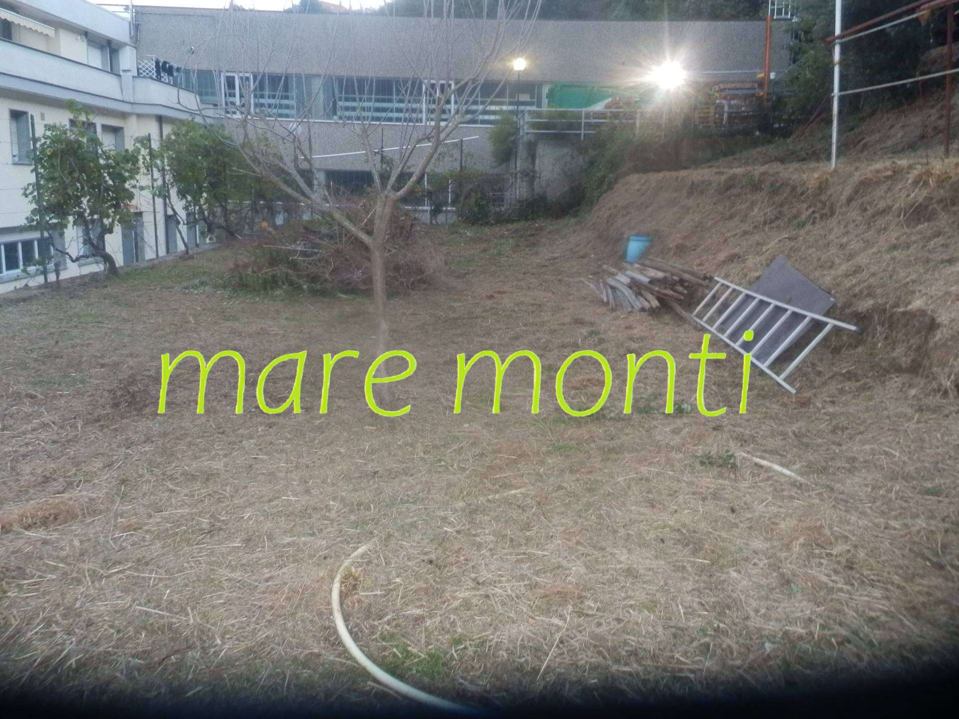  - foto 7