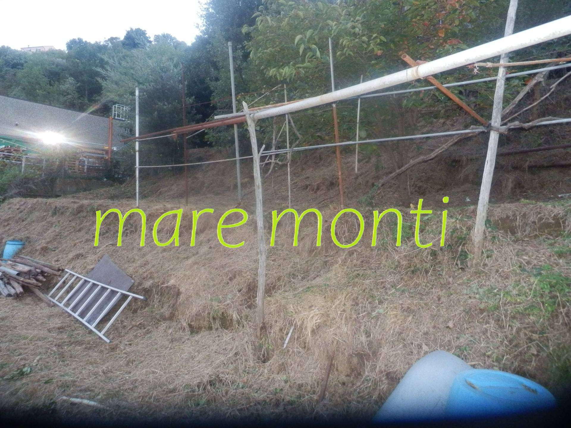  - foto 8