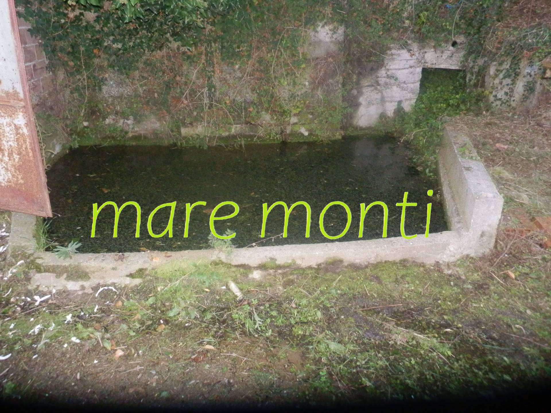  - foto 9