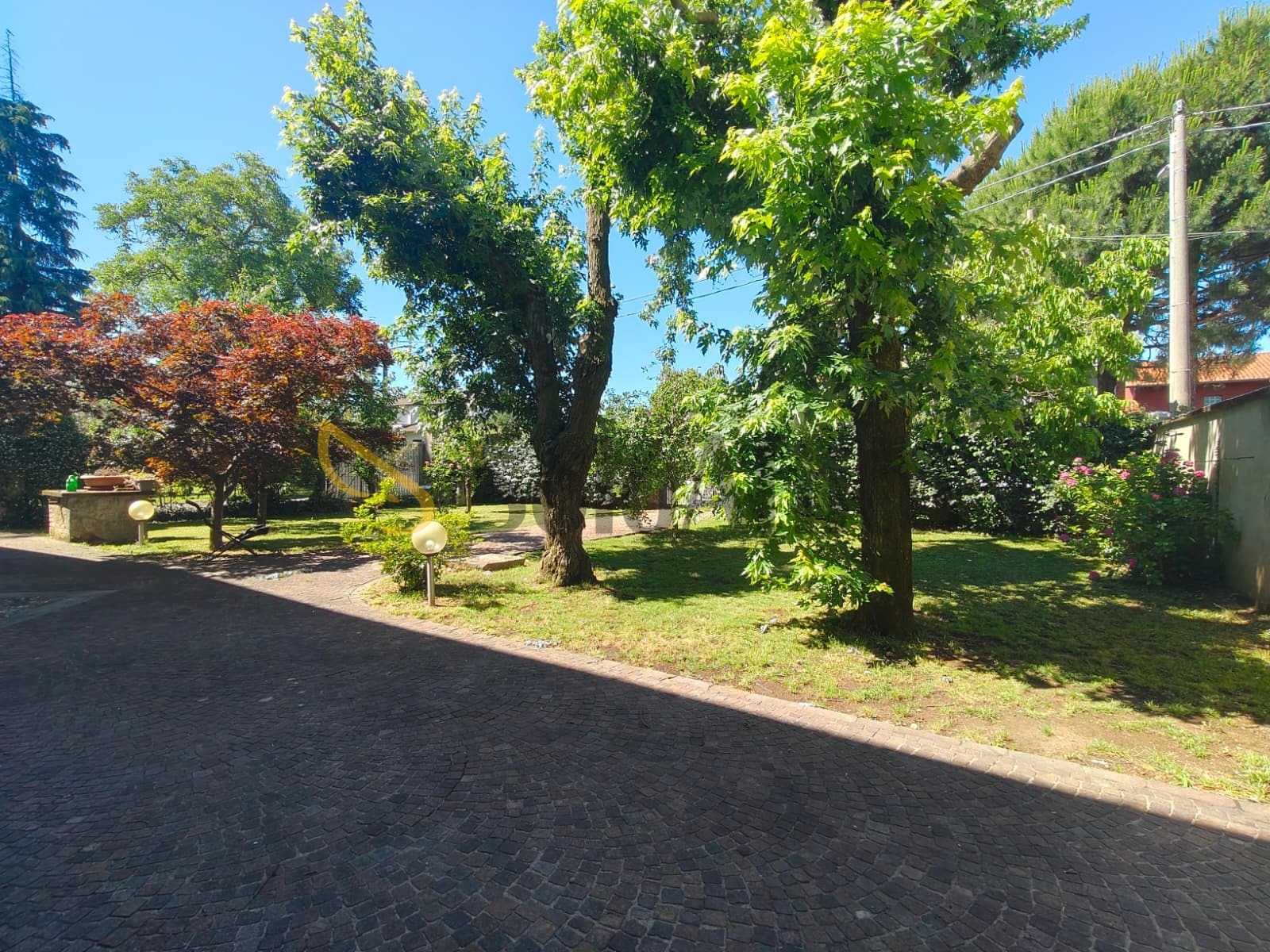  - foto 4