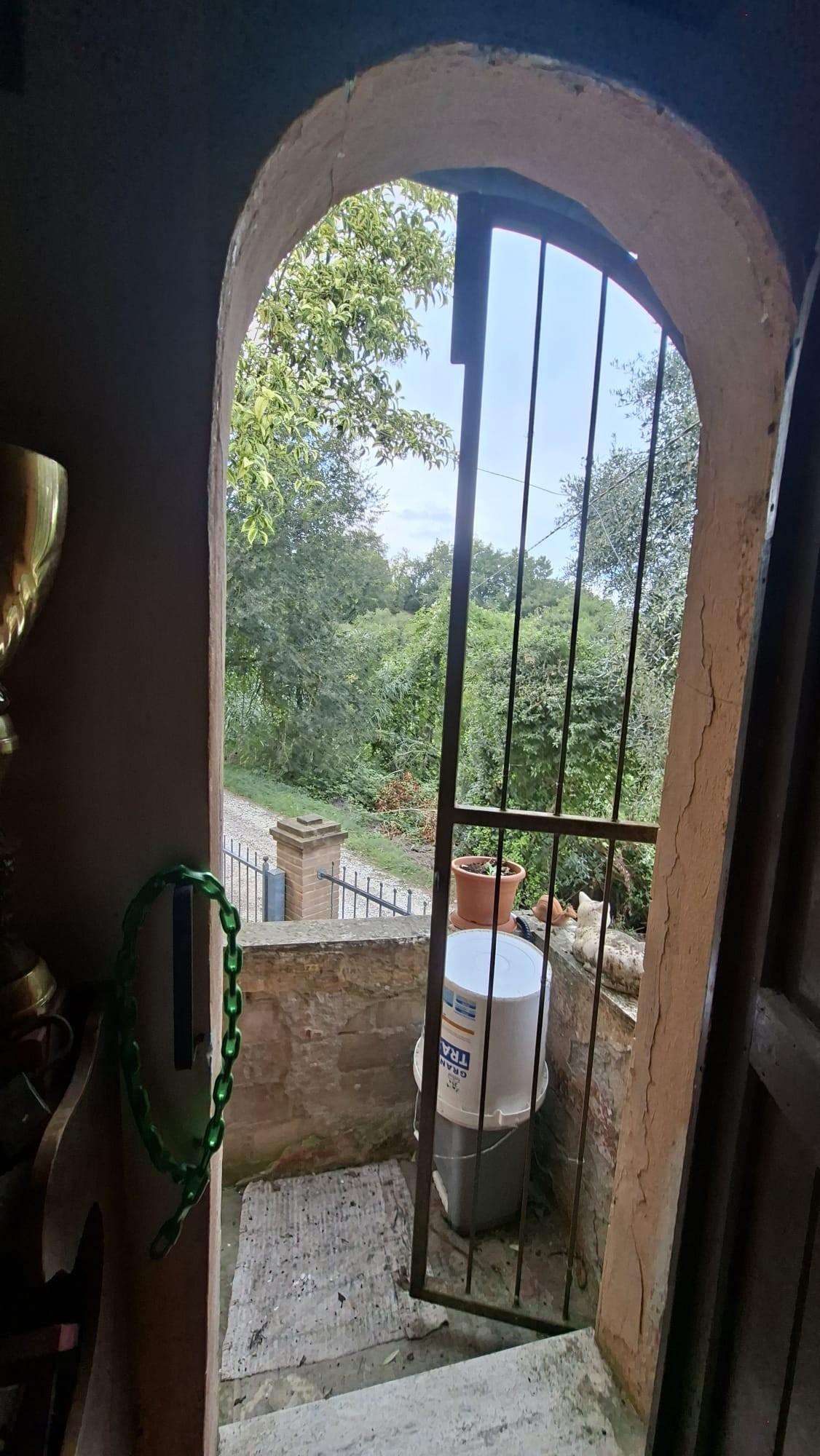  - foto 22