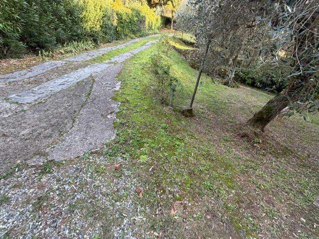  - foto 26