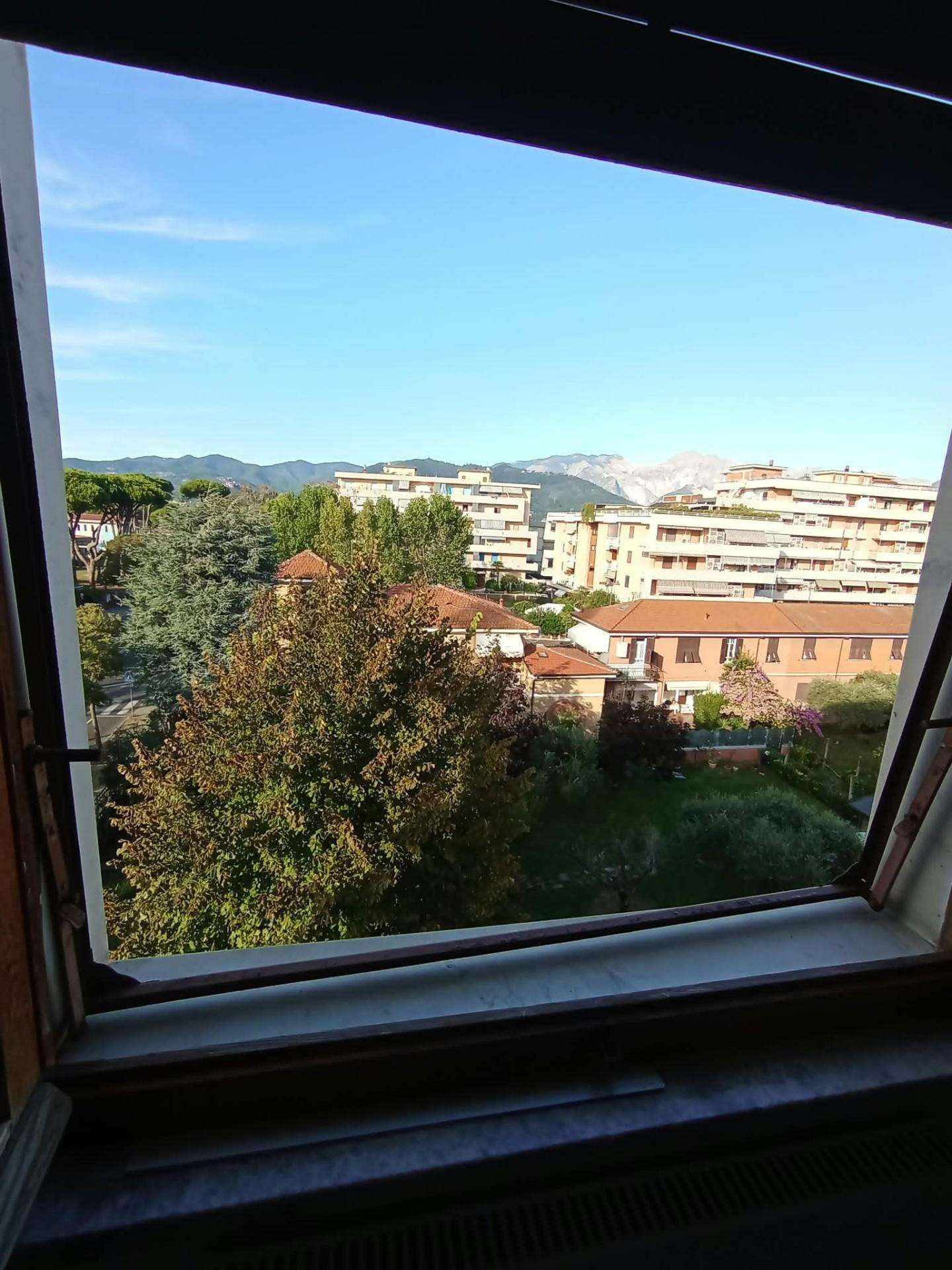  - foto 39