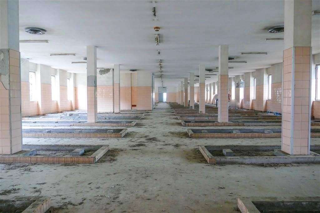  - foto 5