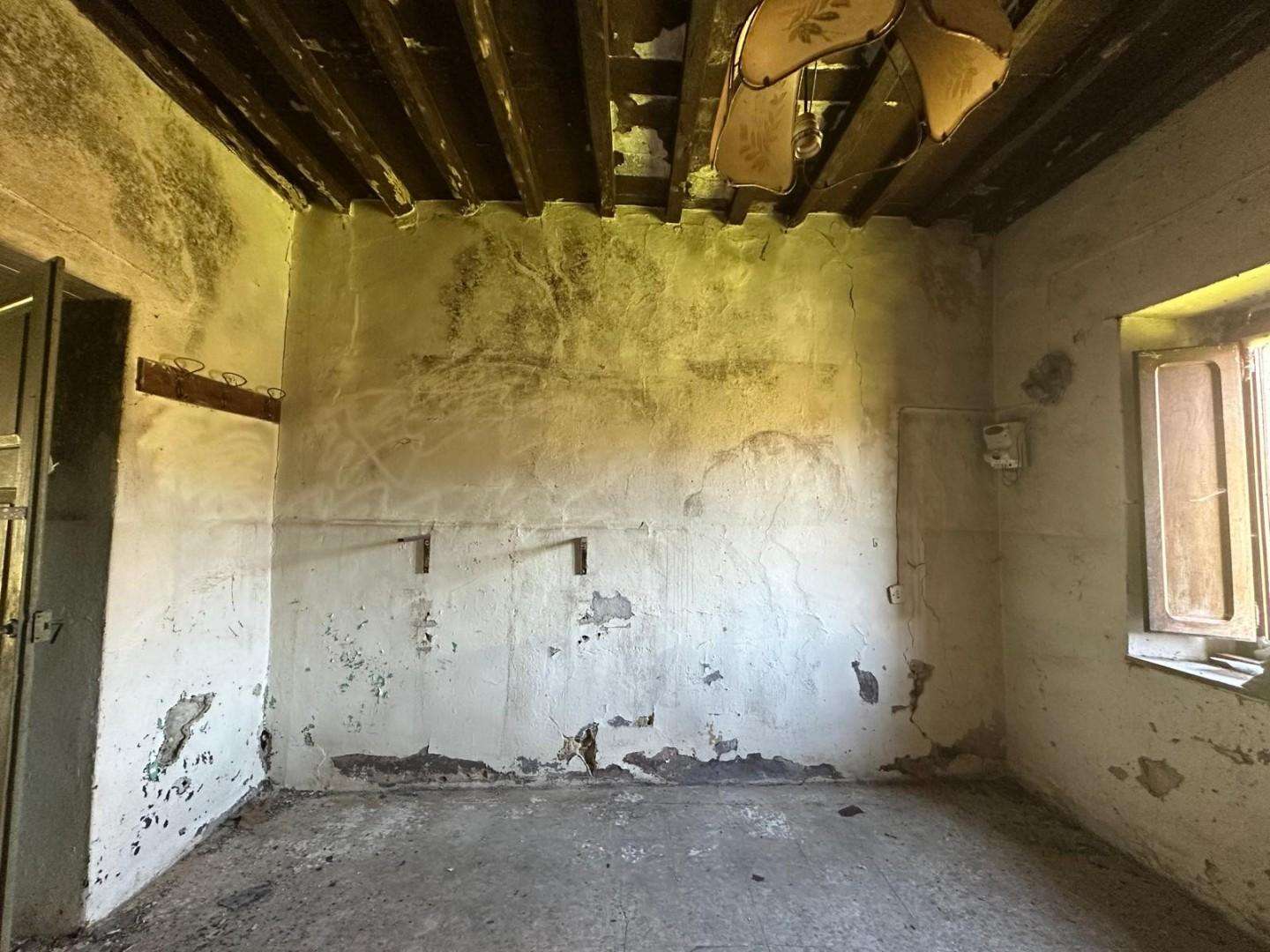  - foto 13