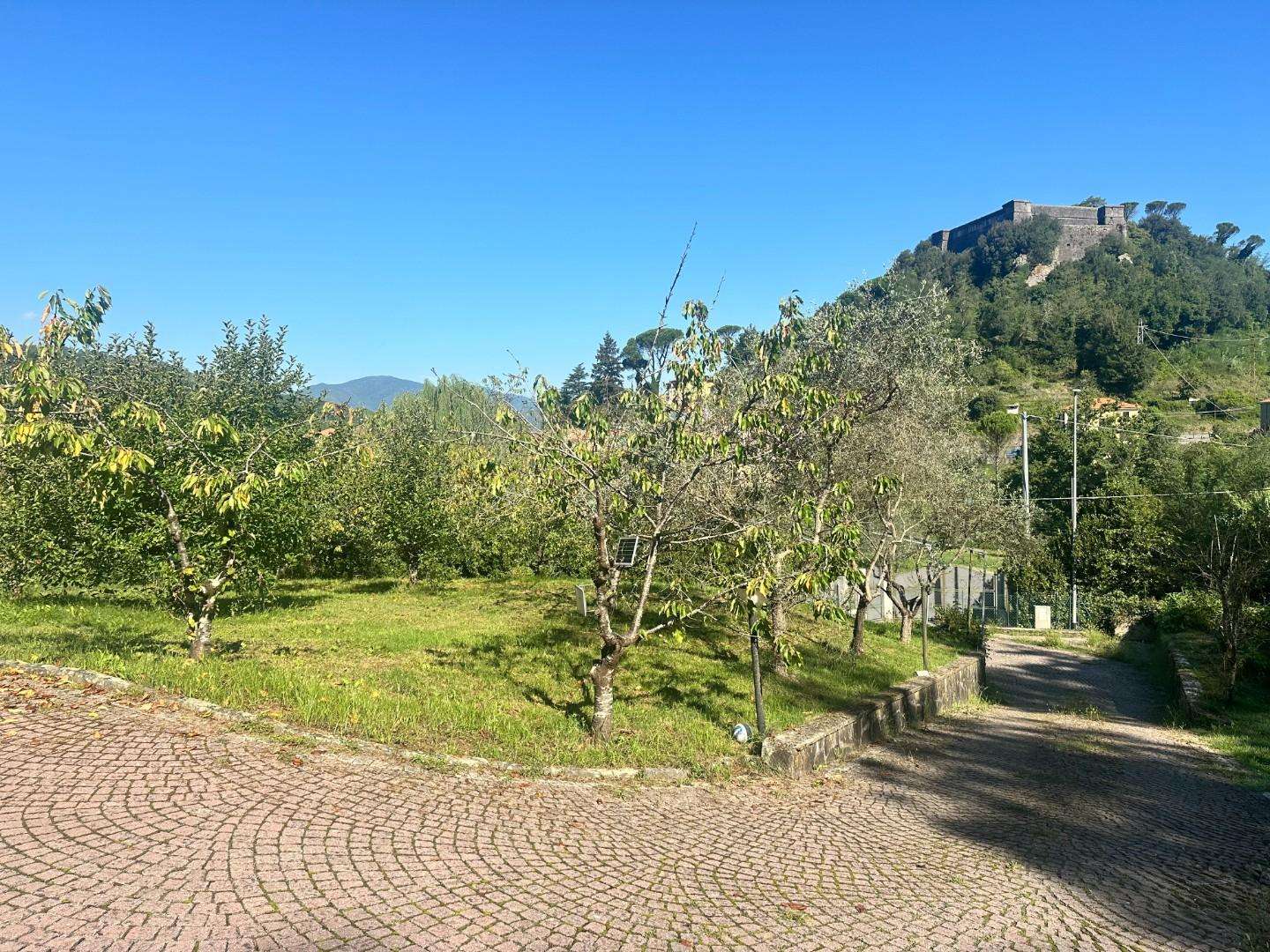  - foto 19