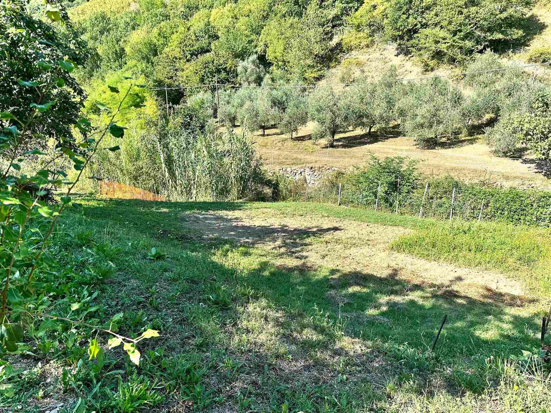  - foto 15