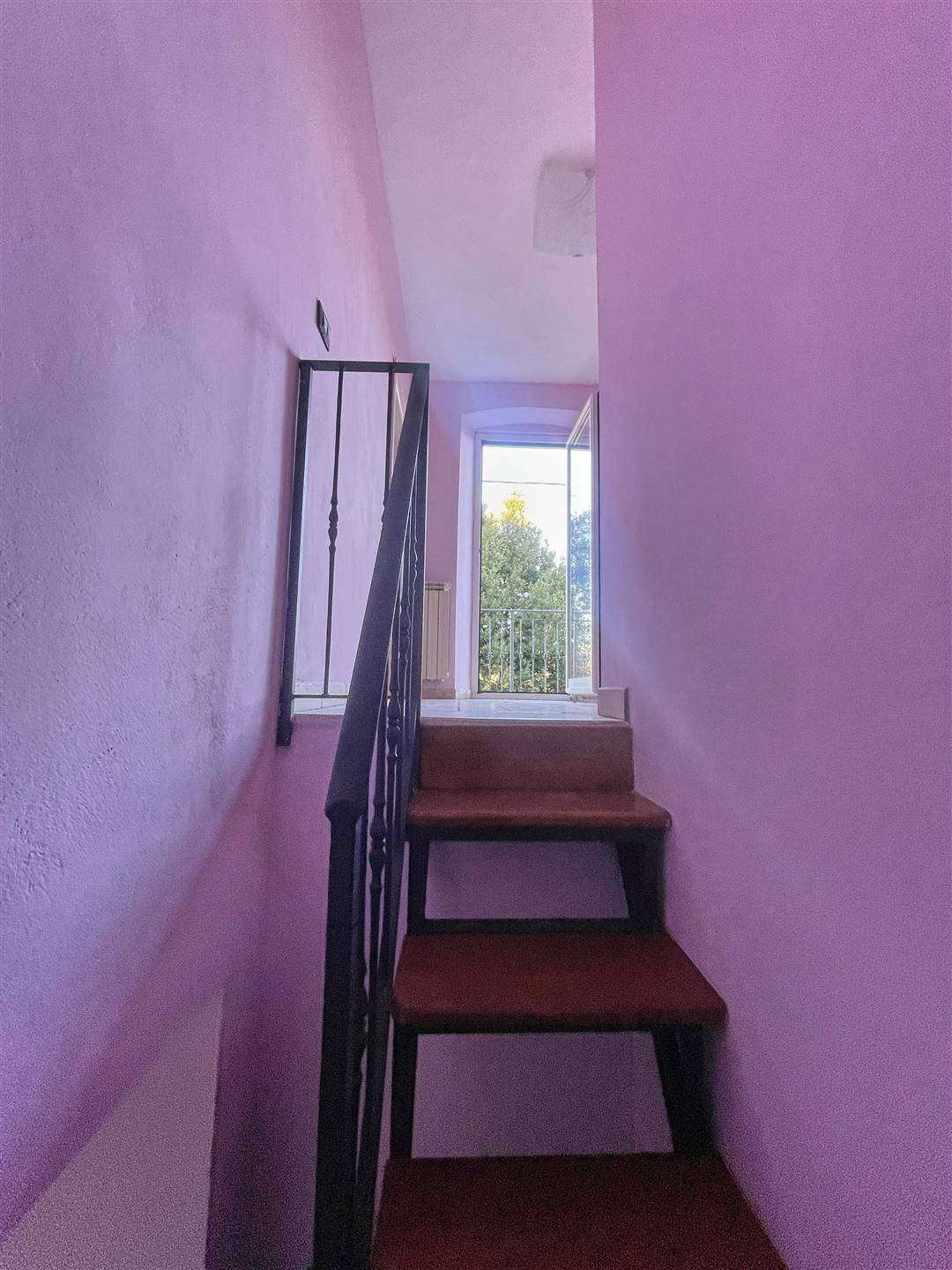  - foto 9