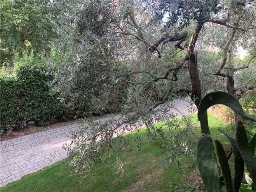  - foto 73