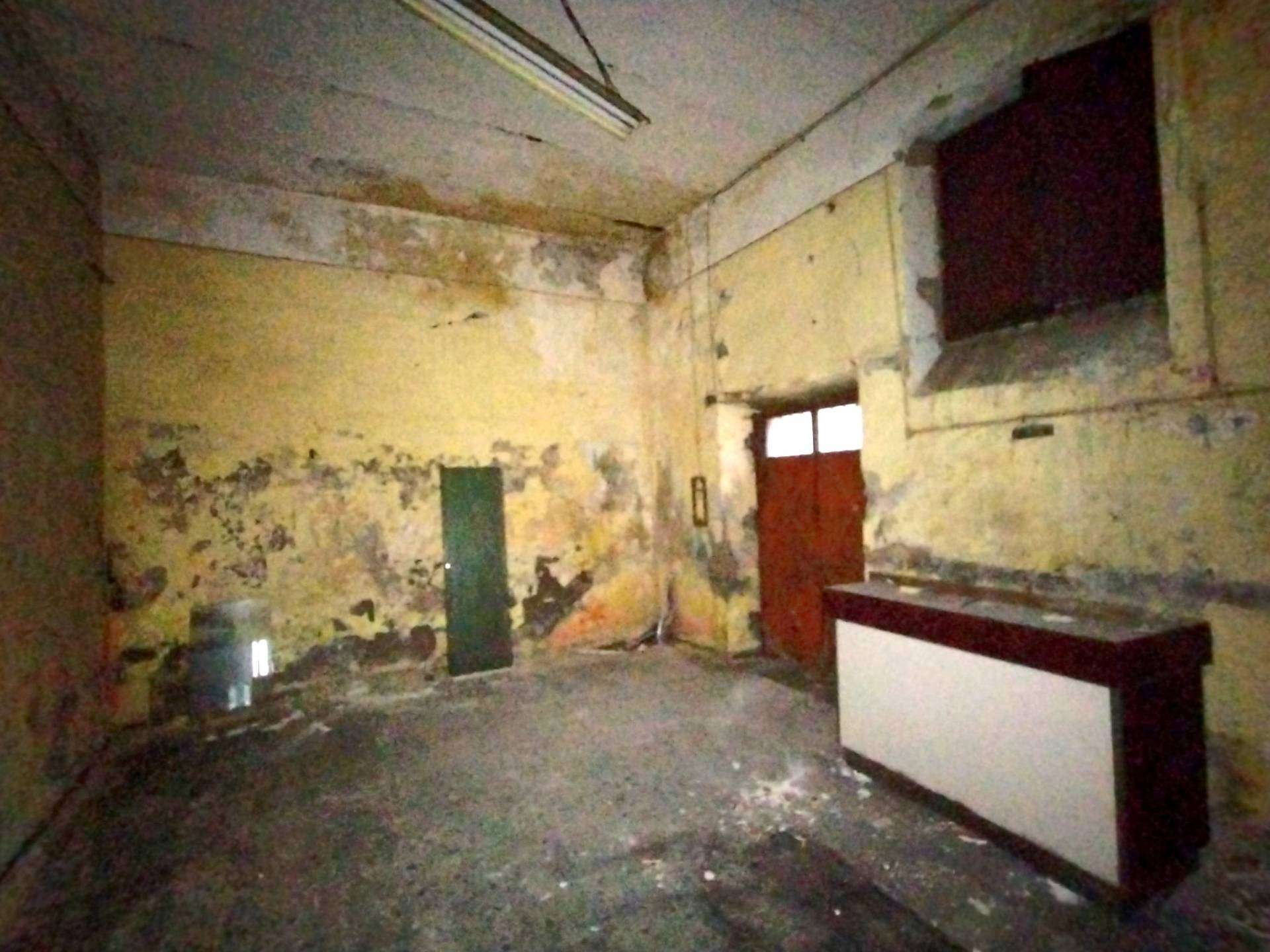  - foto 4