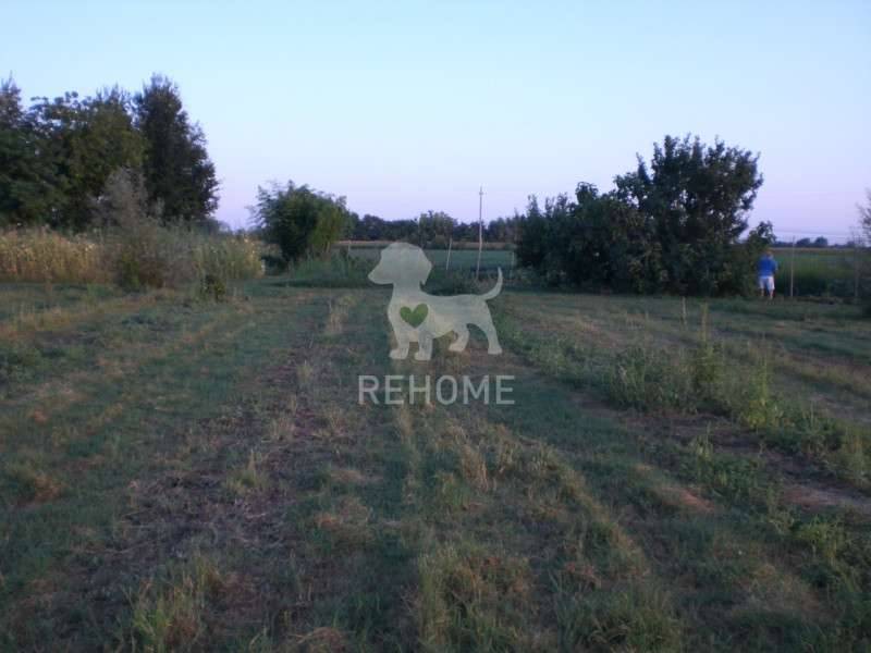  - foto 10