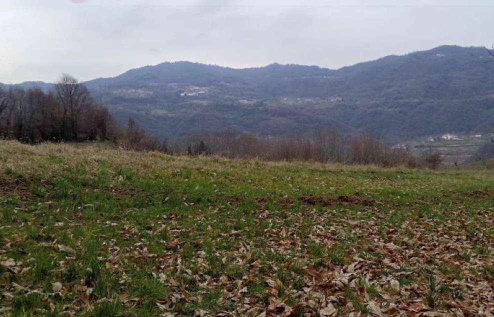  - foto 3