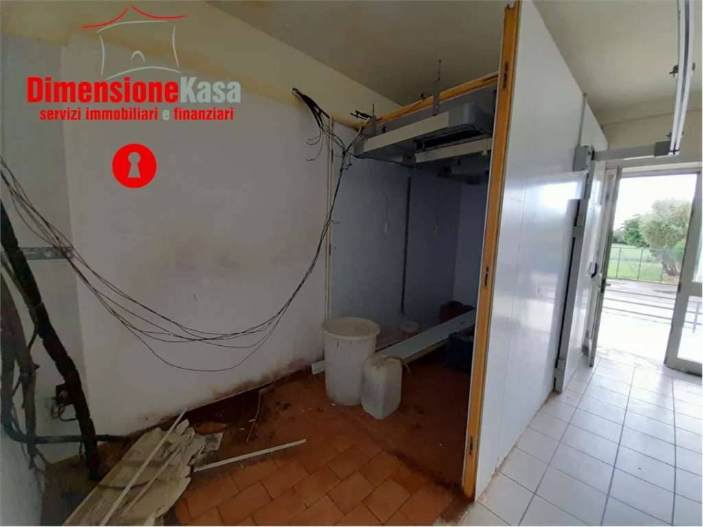  - foto 5