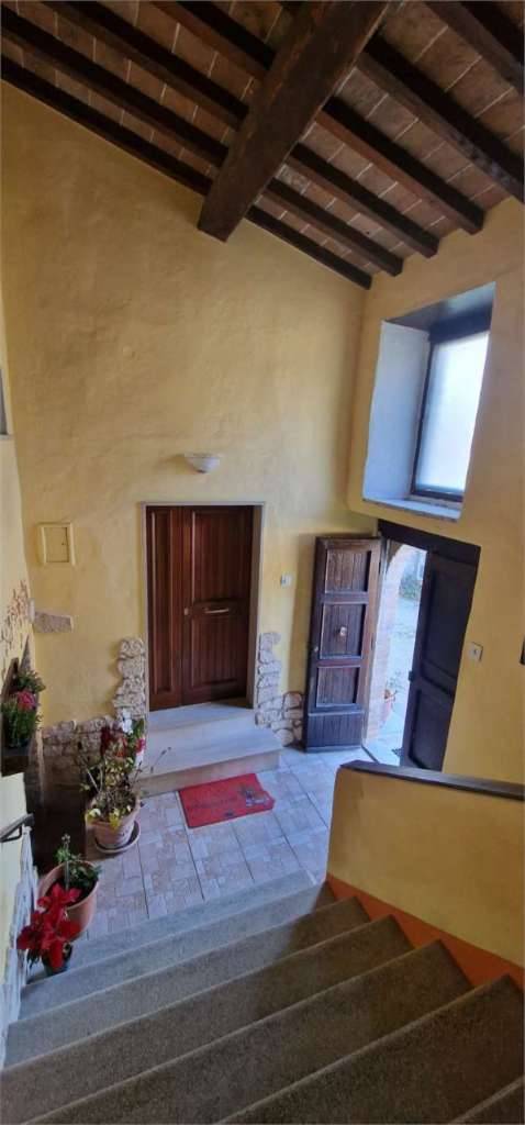  - foto 10