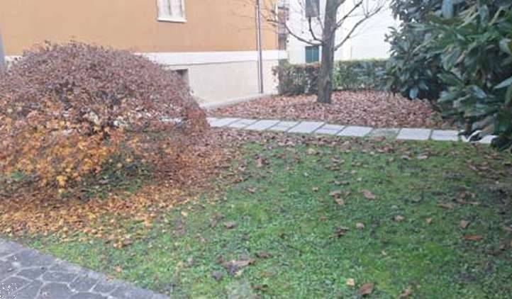 - foto 5