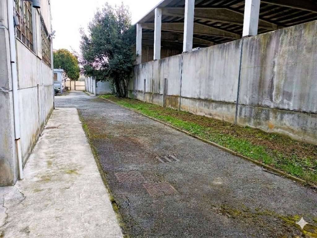  - foto 9