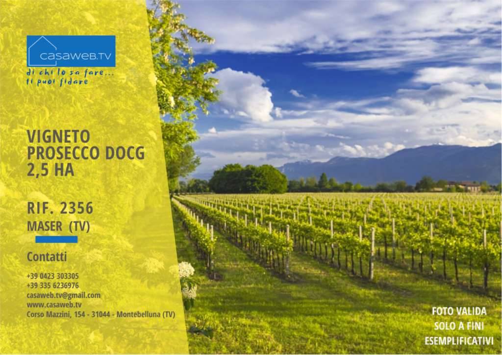 Terreno agricolo Crespignaga, Maser