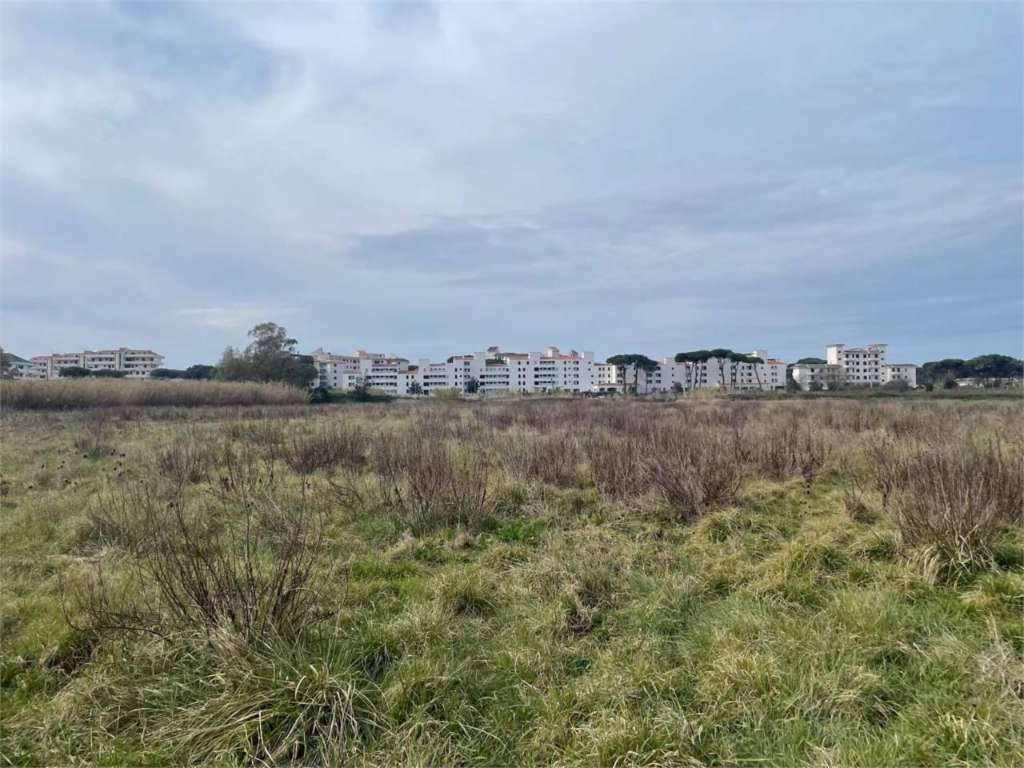 Terreno agricolo Baia Domizia, Cellole