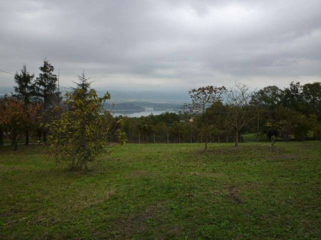 Terreno agricolo Gragnano, Capannori