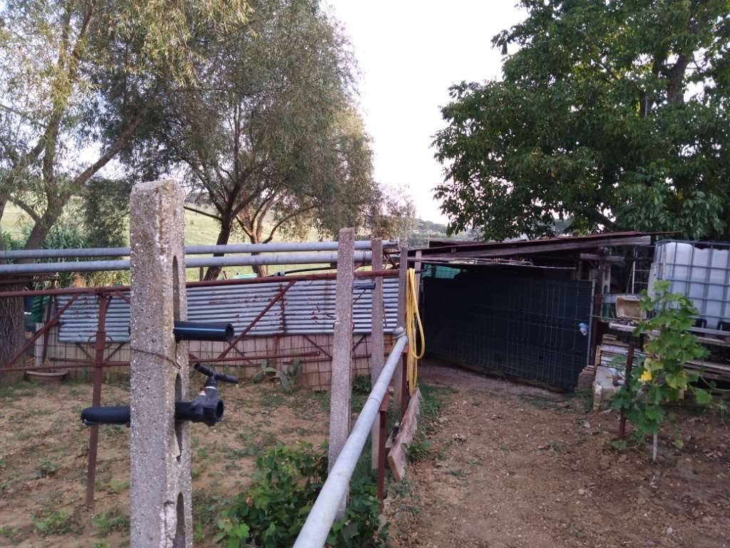  - foto 8