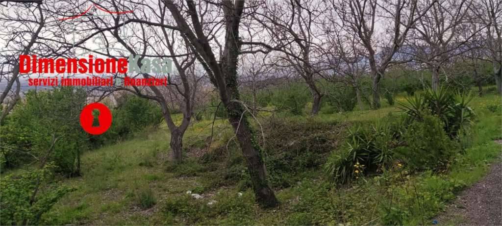  - foto 5