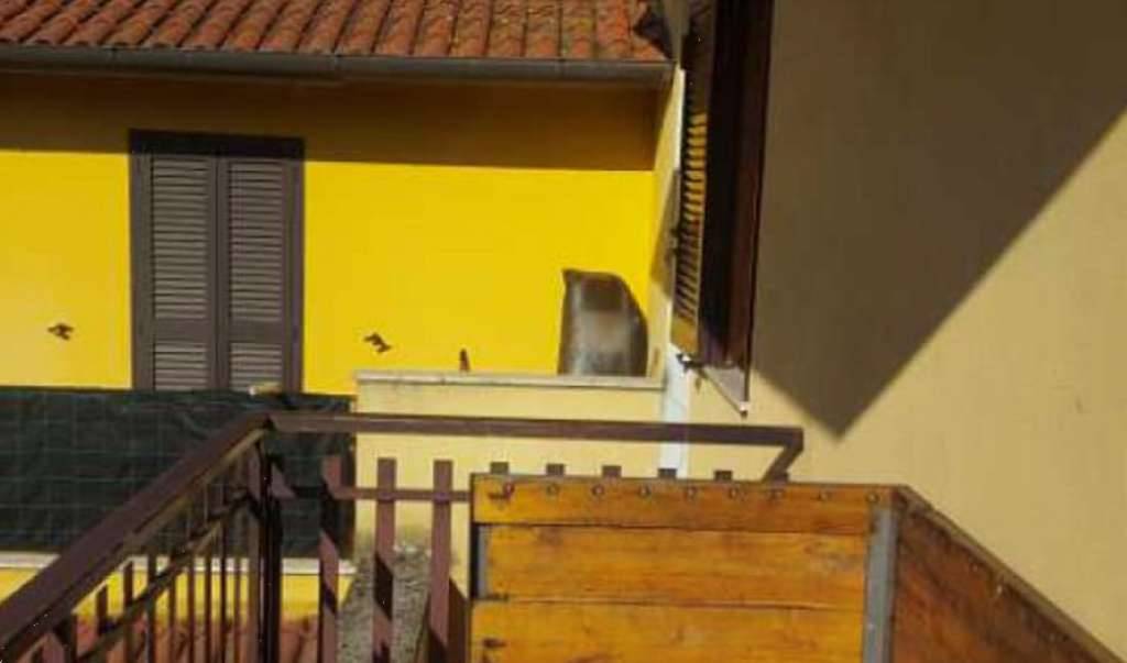  - foto 4