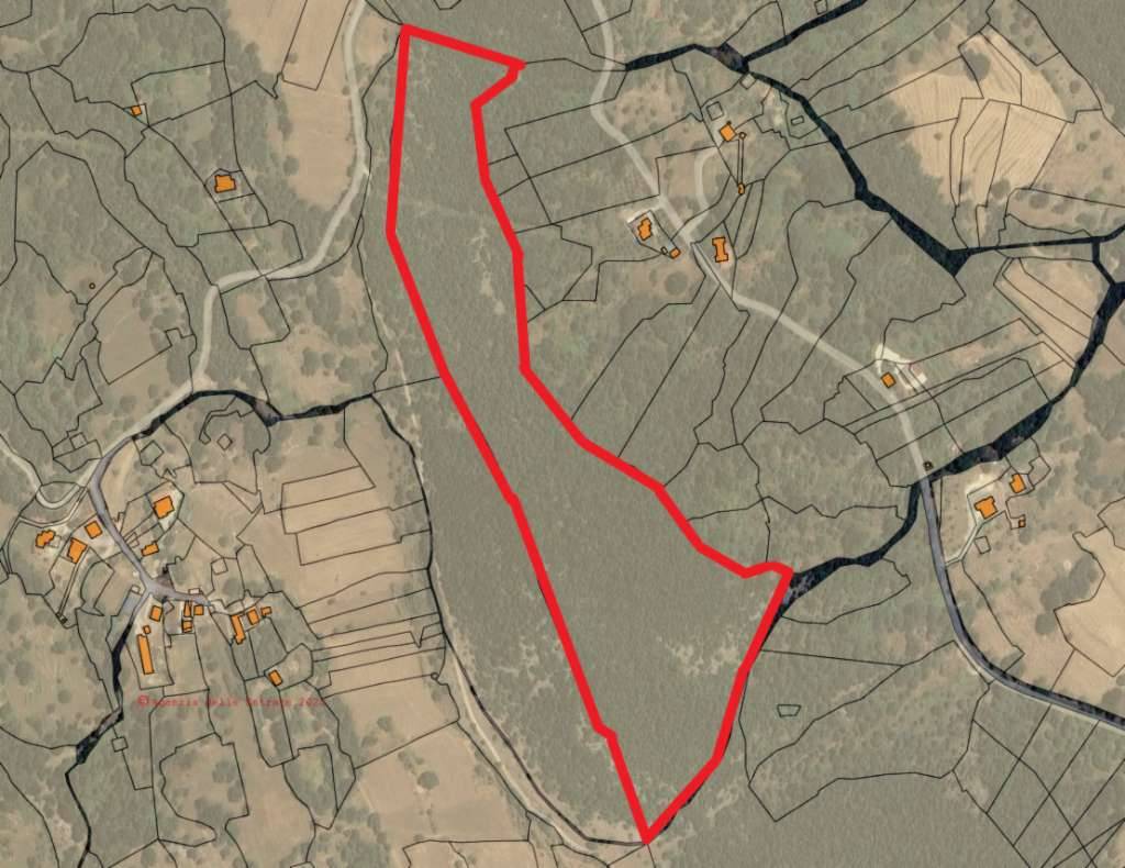  - foto 2