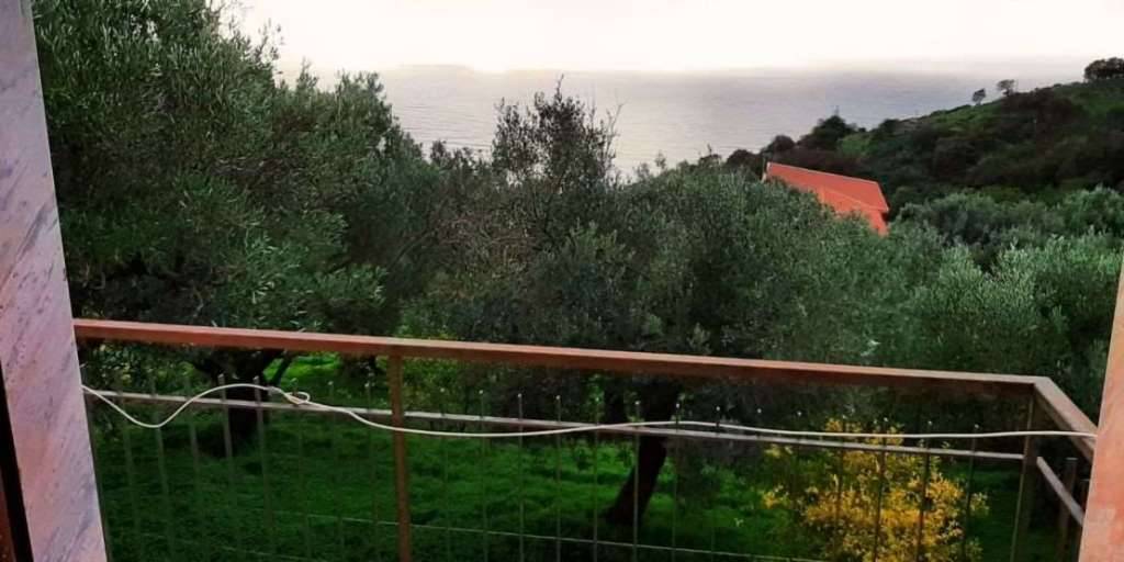  - foto 3