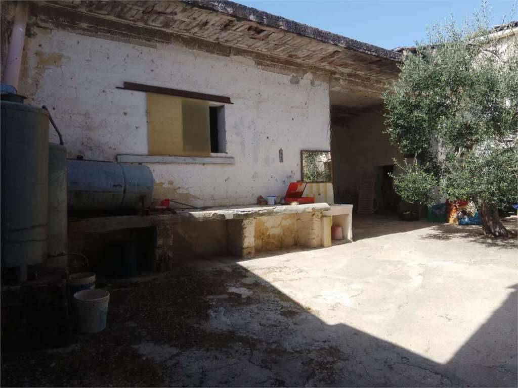  - foto 6