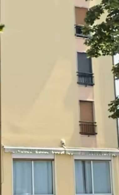  - foto 8