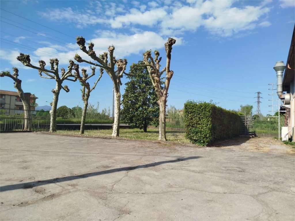  - foto 2
