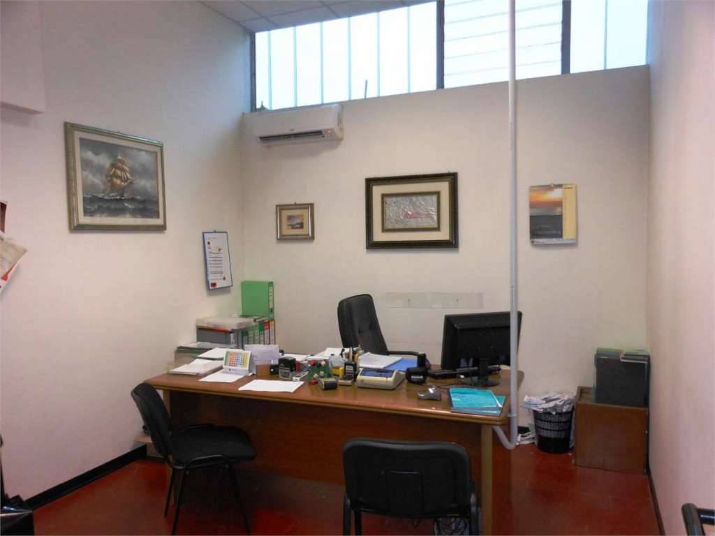  - foto 10
