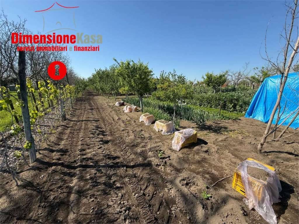  - foto 2