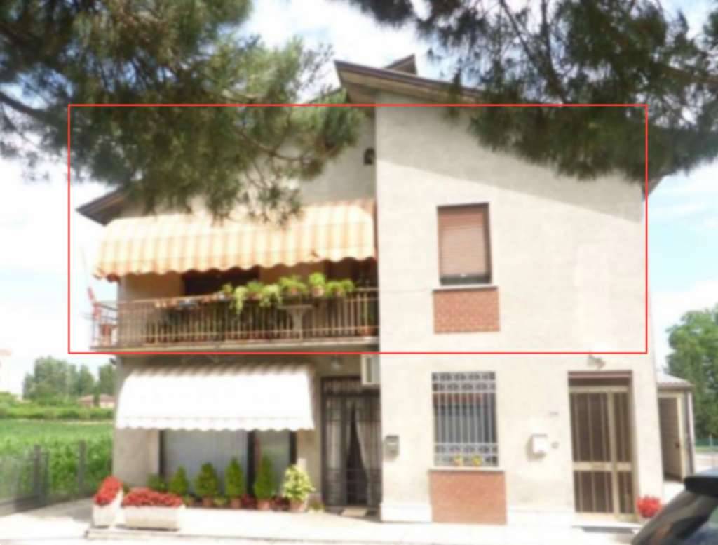 Appartamento Via Luppia Alberi, Montagnana