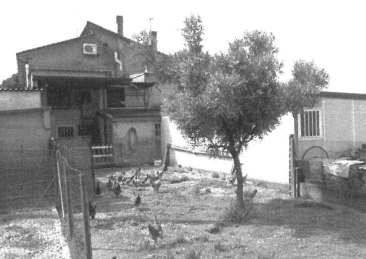  - foto 3