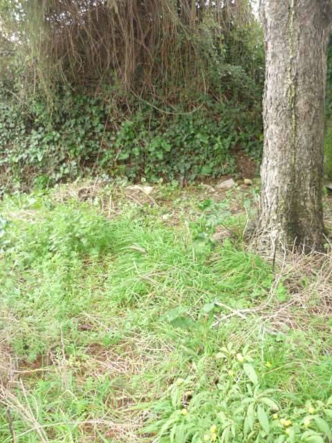  - foto 2