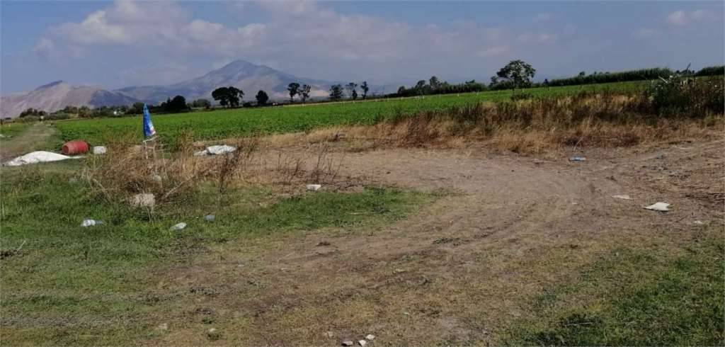Terreno agricolo Pineta Nuova, Castel Volturno