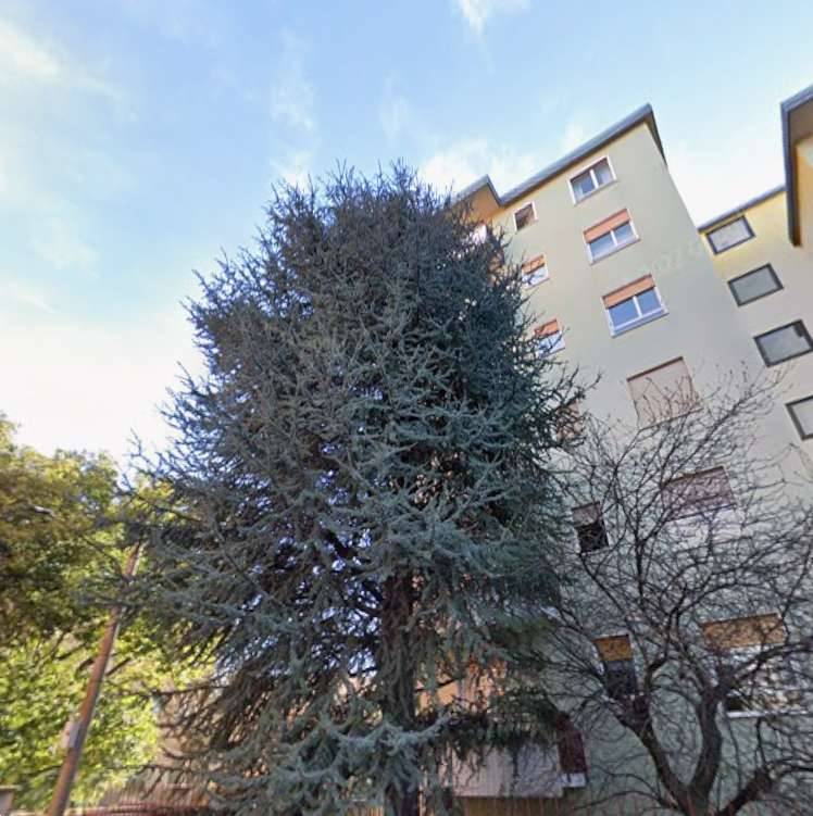  - foto 8