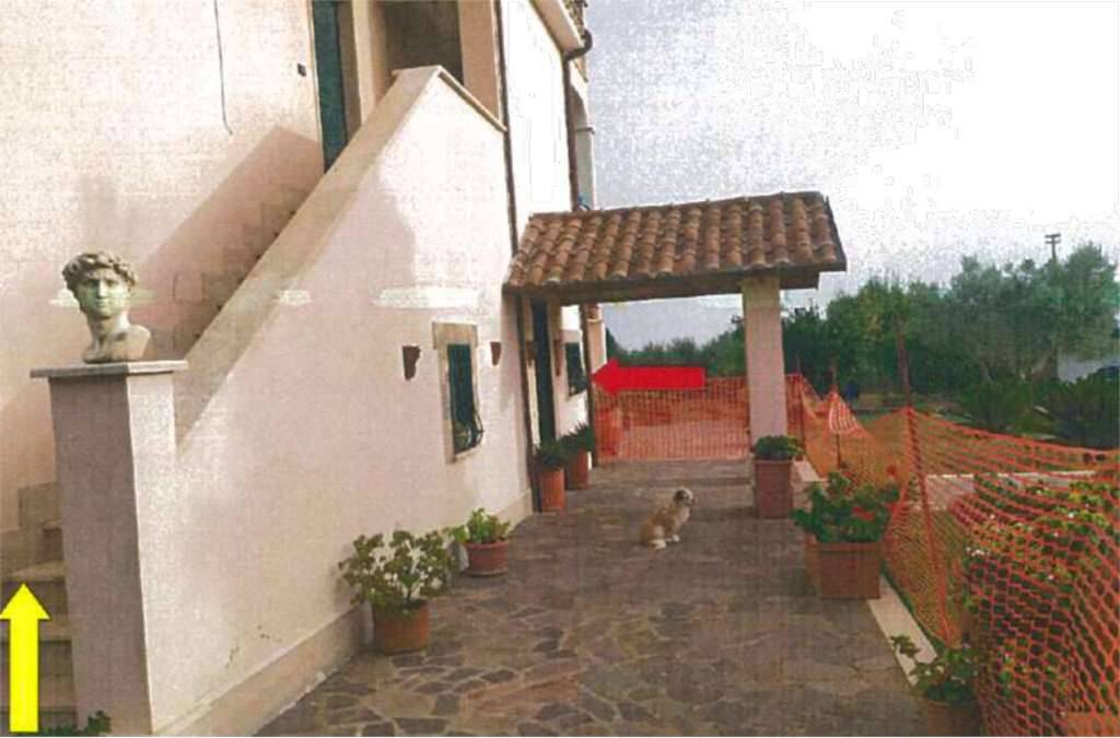 - foto 3