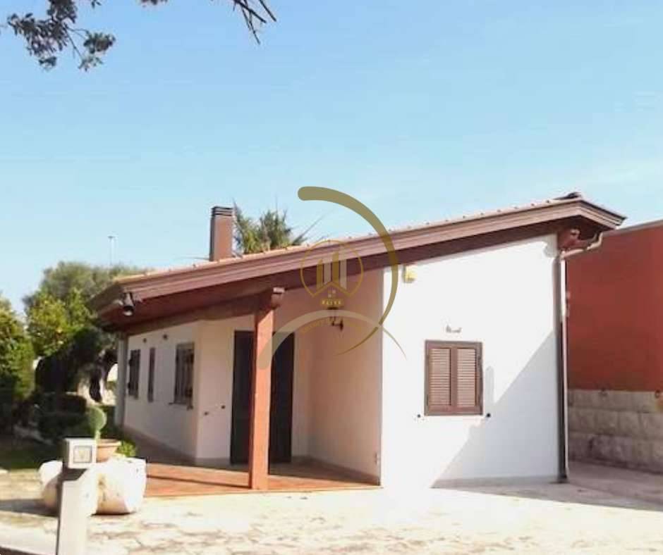  - foto 3