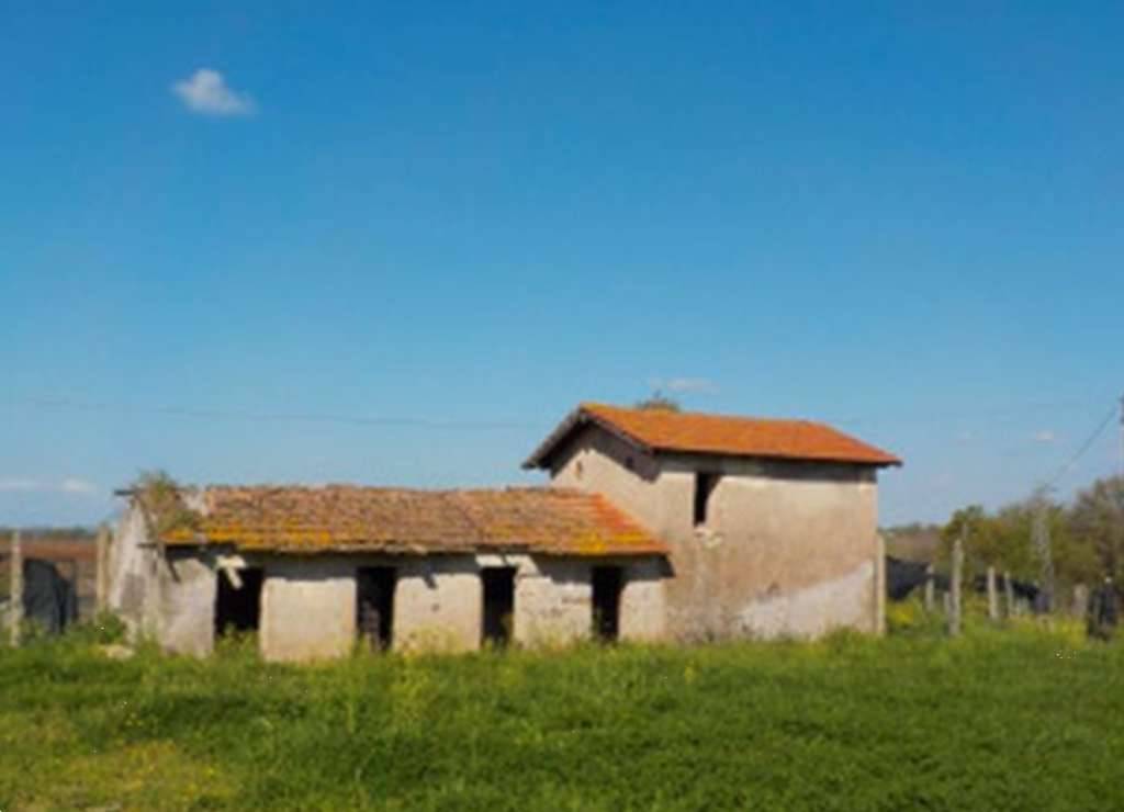  - foto 10