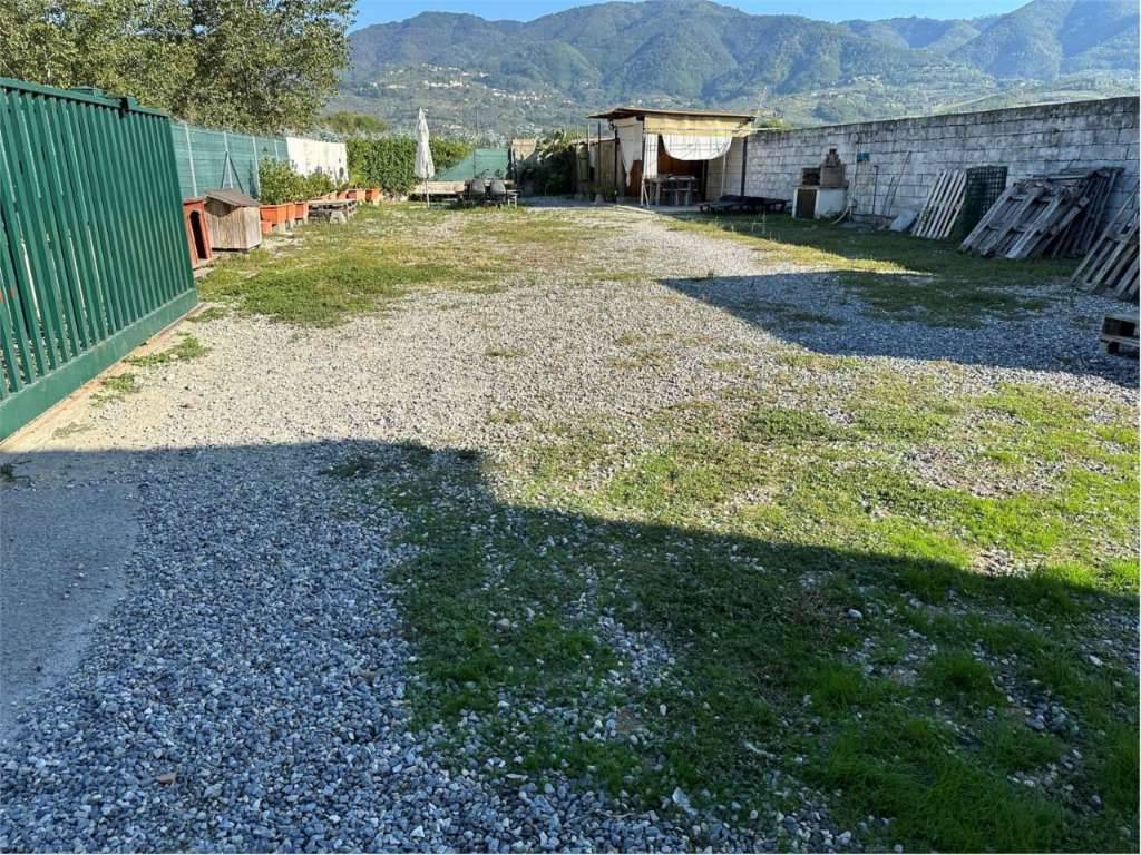  - foto 7